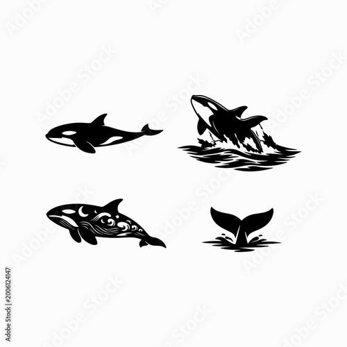 Four black and white whale illustrations