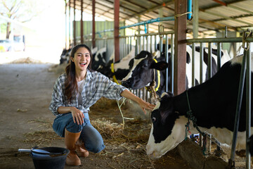Funny woman farm worker touching cow as sign of concern for animal health care. Concept agriculture Dairy farm farming industry