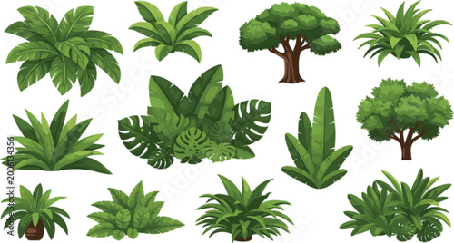 Tropical Plants and Trees Vector Set Featuring Lush Green Foliage, Palm Trees, Bushes and Garden Elements in Flat Illustration Style