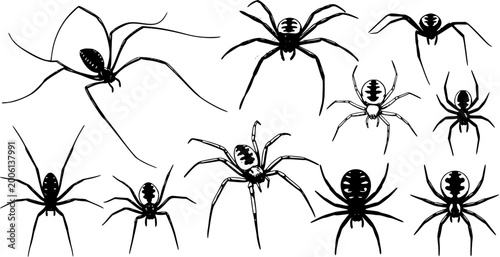 Quadro su tela Vector set of black spiders