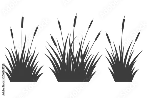 Foto Swamp grass reed silhouettes set