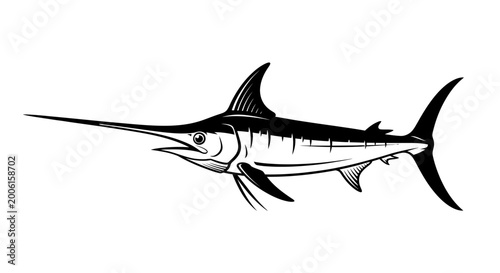 фотографія Black and white vector illustration of a swordfish isolated on white background