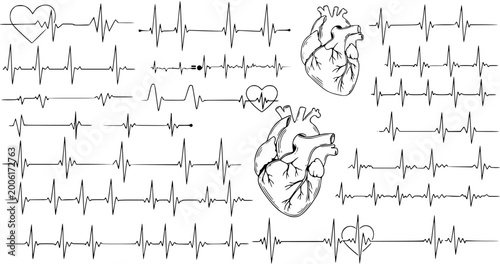 Photos Heart Rhythm: ECG Lines  Anatomical Heart Drawings - Medical Science Art