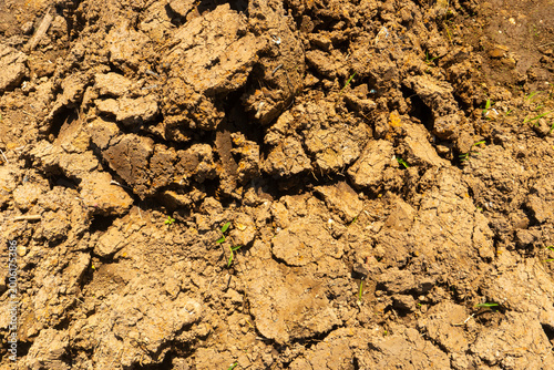 Tableau sur toile The soil is deeply cracked and crumbling, creating a rough and irregular texture