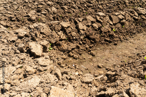 Tableau sur toile The soil appears dry, dusty, clayey, with distinct clumps, often indicating a field ready for planting