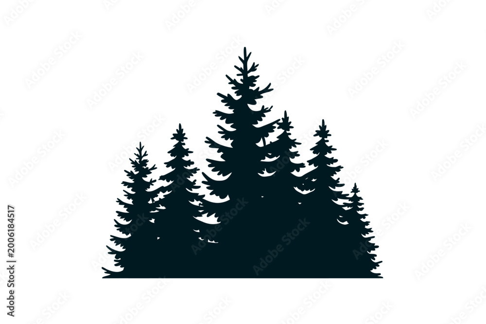 Fototapeta premium Dense Pine Forest Cluster Landscape Style