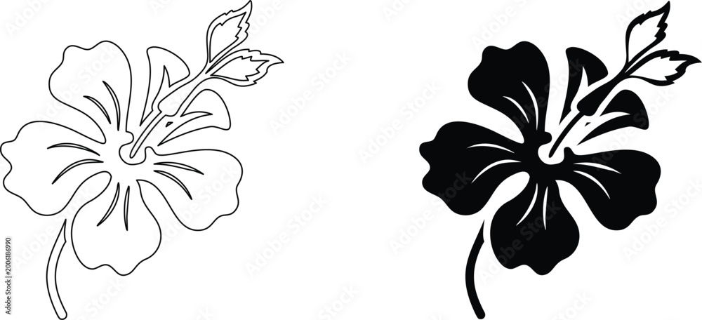 Obraz premium Black silhouette and outline drawing of hibiscus flower on transparent background.