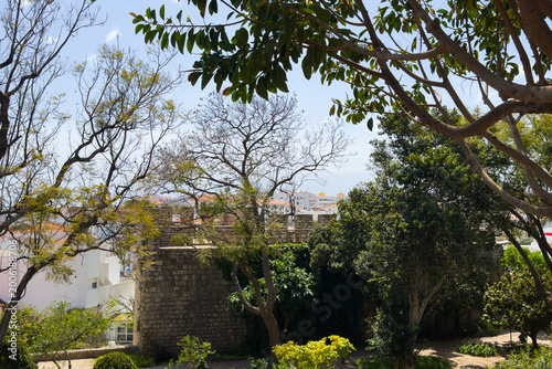  a tree in the garden within the walls of Tavira Castle.