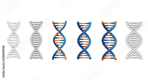 A sequence depicting the gradual colorization of a dna double helix model from grayscale to vibrant hues