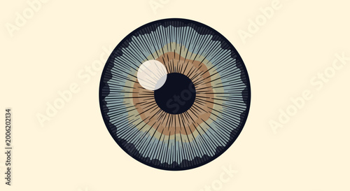 Quadro su tela Detailed illustration of a human eye with blue and brown iris.