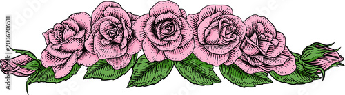 Fotografie A rose flower woodcut illustration in a vintage engraved etching woodcut style