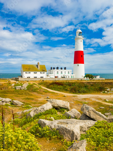 A path leading through a rocky field with flowers towards a striped lighthouse and white buildings under a blue sky (Portland, England, United Kingdom)