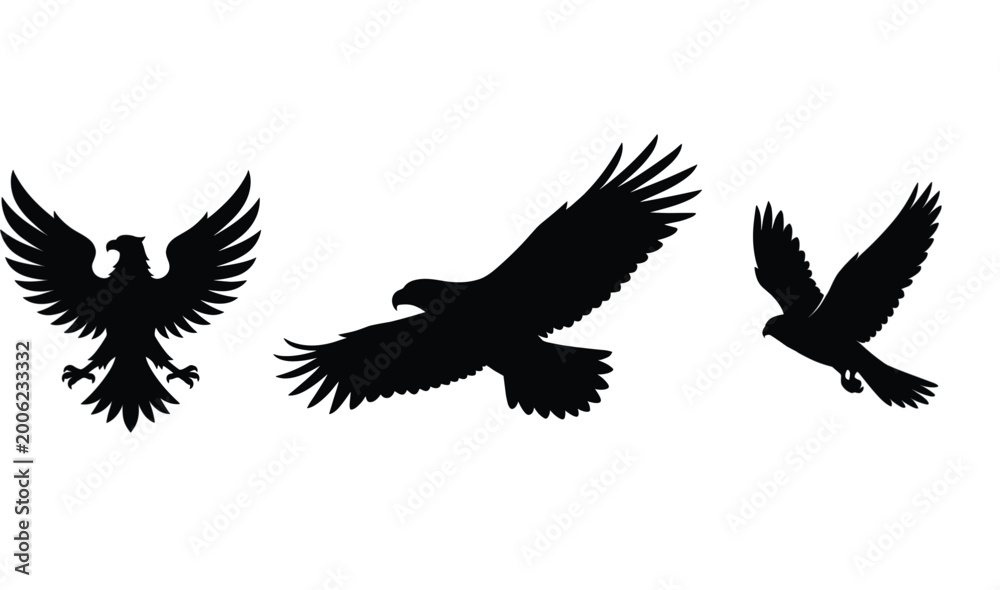 Fototapeta premium Flying eagle silhouettes set isolated on white background birds of prey vector illustration collection