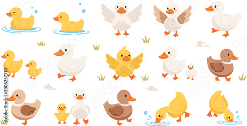 Foto Cute Duck Cartoon Character Vector Set with Swimming, Walking, Flying Poses, Ducklings, Farm Animal Scenes, and Adorable Waterfowl Illustrations for Kids and Nursery Designs