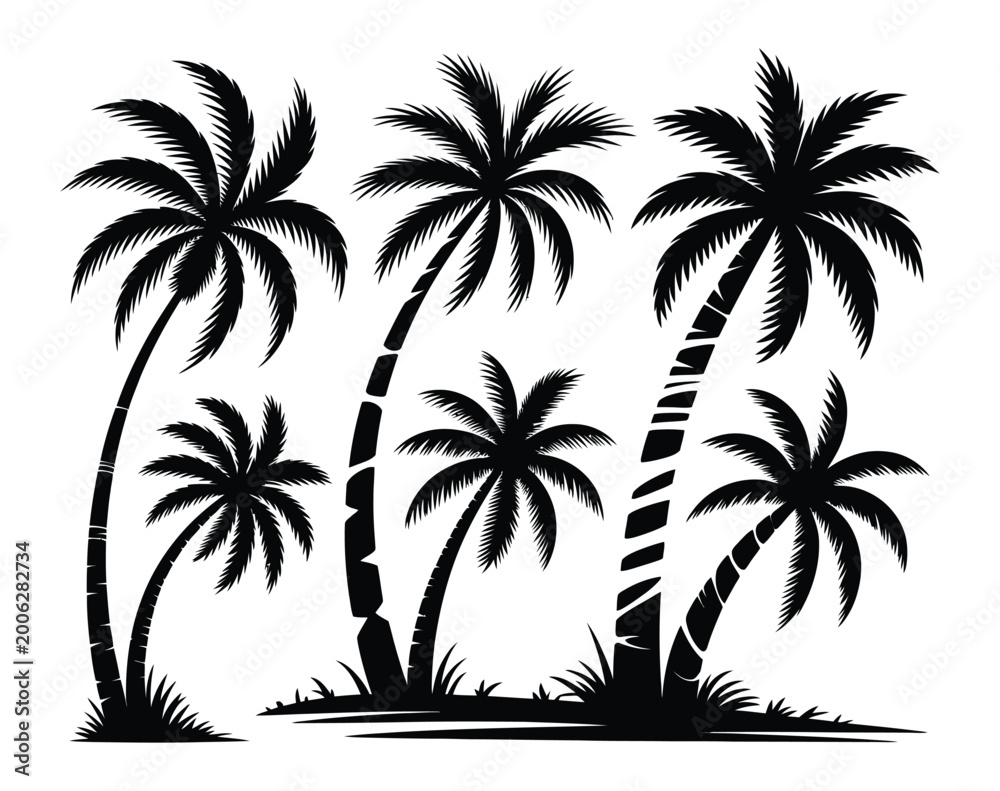 Fototapeta premium Palm tree silhouettes against a white background tropical vegetation high quality