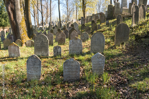 Bild auf Leinwand Old Jewish Cemetery in Polná, Czech Republic