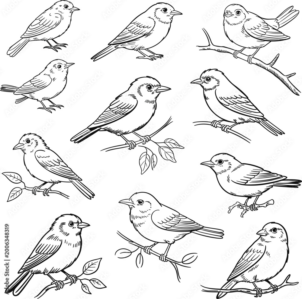 Fototapeta premium Hand drawn birds sketch set vector illustration, collection of small perched birds on branches for nature design