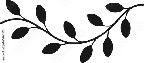 Minimalist Floral Border Set with Elegant Leaf Branch Silhouettes