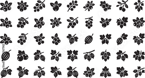 Фотография Berry icon set with various fresh berries and fruits, black glyph illustrations for healthy food, vegetarian nutrition, and desserts