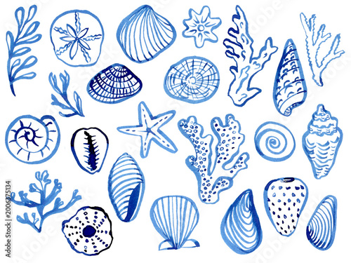 Foto Hand drawn seashells