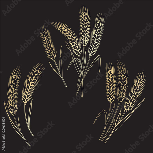 ears of wheat