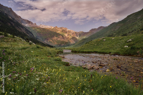 Bilde på lerret Valle de Otal y arroyo de montaña con flores silvestres, Pirineo Aragonés