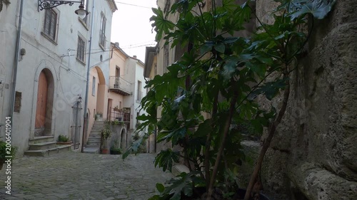 Historic center of the small village of Castel San Vincenzo with ancient stone houses, Molise, Italy