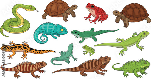 Bild auf Leinwand Reptile and amphibian animal collection vector set featuring snake turtles lizar