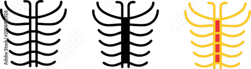 Set of 3 Rib Cage Icons - Human Anatomy Skeleton and X-ray Symbols in Outline Solid and Color Styles - Vector