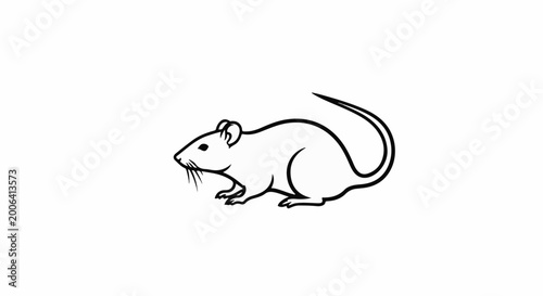 A black and white line drawing of a rodent with a long tail