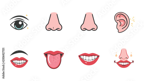 Tableau sur toile Sensory Anatomy: A detailed illustration showcasing the eye, nose, ear, mouth, and tongue, highlighting the beauty and complexity of human sensory organs