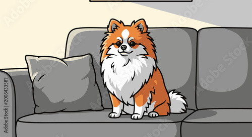 A fluffy orange and white dog sits on a gray sofa with a pillow