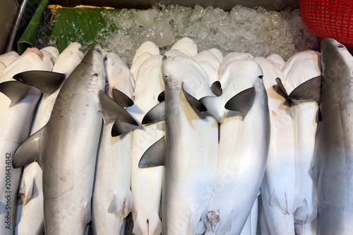Φωτογραφία Shark representing endangered sharks threatened by overfishing and possible extinction