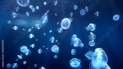 Ethereal jellyfish gracefully floating in deep blue ocean waters. Captivating marine life showcasing the beauty of underwater ecosystems