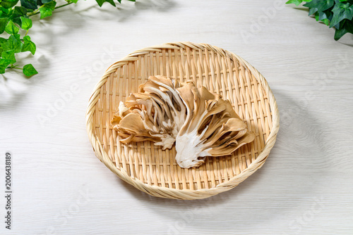 竹ざるに盛った新鮮な舞茸