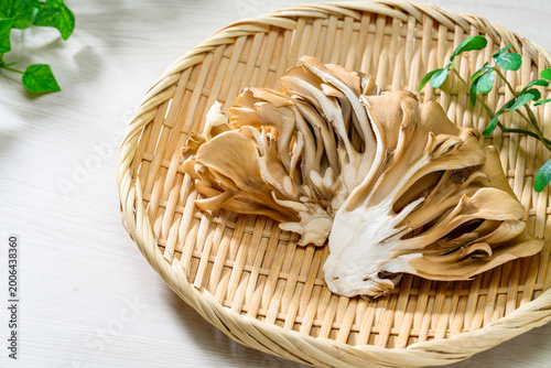竹ざるに盛った新鮮な舞茸
