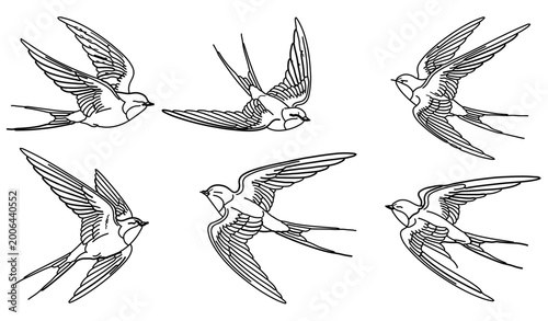 Foto flying swallow birds hand drawn sketches for tattoo and nature art minimalist sp