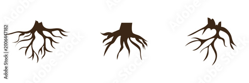 Fotografi Tree Roots Silhouette Icon