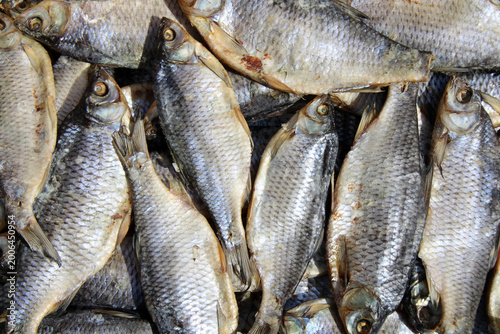 Dried fish  rudd background