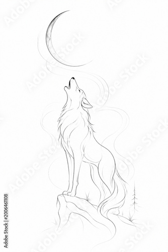 vector illustration of a white wolf