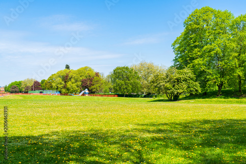 Fényképezés A picturesque spring parkland scene with blooming trees, fresh greenery, and day