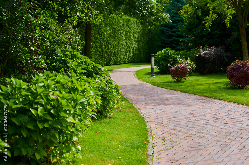 Obraz premium Winding pathway surrounded by lush greenery in a serene garden setting