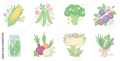 A set of vector images of garden vegetables, fruits, and herbs. Includes corn, peas, broccoli, plums, cucumbers, onions, herbs, and a wooden sign.