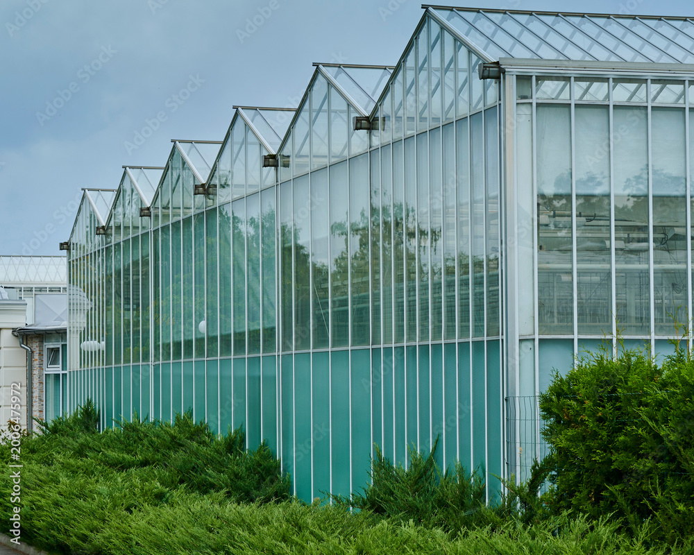 Obraz premium Growing wonders inside a modern greenhouse with a lively green surrounding