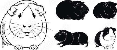 Photos Guinea Pig Vector Set with Cute Cartoon Line Art Portrait and Black Silhouette I