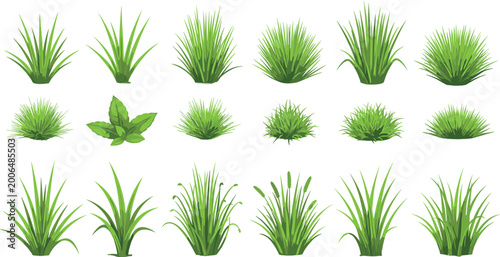 Photos Green Grass Tuft Vector Collection with Lawn Bushes, Meadow Blades and Spring Pl