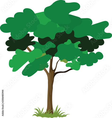 Green tree with grass