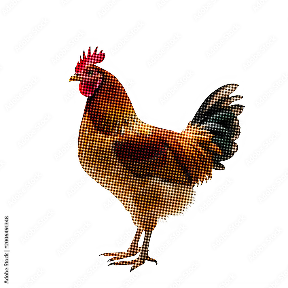 Fototapeta premium A colorful stylized rooster standing profile view with a dotted pixel art halftone pattern texture