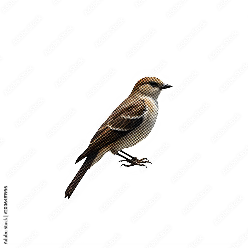Fototapeta premium Small brown songbird illustration with vintage dotted halftone texture effect