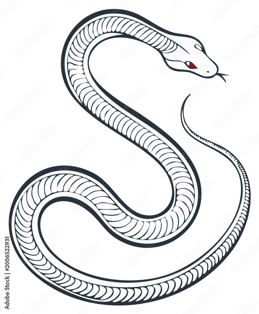 Fototapeta premium Stylized Serpent Illustration with Red Eye